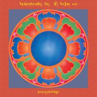 RTZ-Mandala-Dzongsar-05-496-stag sham gu ru zhi ba'i tshe sgrub
