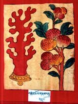 RTZ-Tsagli-DA-01-gnam chos gnas bcu-46