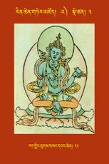 RTZ-Tsagli-Dzongsar-'A-03-rat gling thugs gsang dbang chen-31