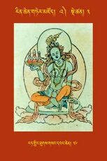 RTZ-Tsagli-Dzongsar-'A-03-rat gling thugs gsang dbang chen-36