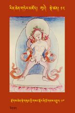 RTZ-Tsagli-Dzongsar-AA-12-rdzogs chen sde gsum gyi gsang skor zhi khro gnas 'gyur-17