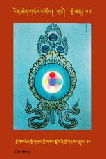 RTZ-Tsagli-Dzongsar-AA-12-rdzogs chen sde gsum gyi gsang skor zhi khro gnas 'gyur-19