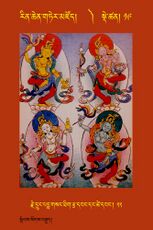 RTZ-Tsagli-Dzongsar-AA-19-rje drung padma gsang thig rtsa dbang dang tshe dbang-22