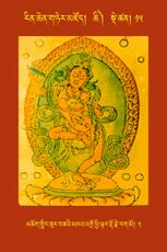 RTZ-Tsagli-Dzongsar-CHI-15-mchog gling zur bza'i mkha' 'gro phyi ltar rdo rje phag mo-02