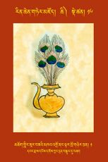 RTZ-Tsagli-Dzongsar-CHI-16-mchog gling zur bza'i mkha' 'gro nang ltar khro gnyer can-01