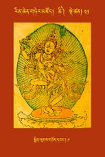 RTZ-Tsagli-Dzongsar-CHI-21-smin lugs gcod dbang-09