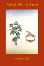 RTZ-Tsagli-Dzongsar-DA-58-gnam chos mi tra-06