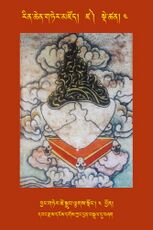 RTZ-Tsagli-Dzongsar-DZA-04-byang gter tshe sgrub lcags sdong-04