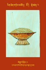 RTZ-Tsagli-Dzongsar-DZI-06-tshe sgrub nyi snying-04