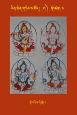 RTZ-Tsagli-Dzongsar-GA-04-grol tig zhi khro-06