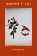 RTZ-Tsagli-Dzongsar-GA-05-gnam chos zhi khro-20