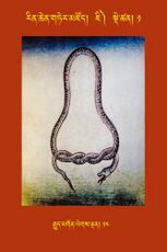 RTZ-Tsagli-Dzongsar-JI-01-rgyud mgon legs ldan-14