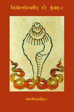 RTZ-Tsagli-Dzongsar-LA-09-gnam chos rta mgrin-04