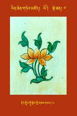 RTZ-Tsagli-Dzongsar-LI-07-rdor gling hUM skor gyi gsang dbang-04