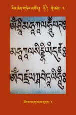 RTZ-Tsagli-Dzongsar-NYI-03-tshogs bdag khams lugs-03