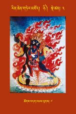 RTZ-Tsagli-Dzongsar-NYI-03-tshogs bdag khams lugs-07