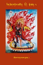 RTZ-Tsagli-Dzongsar-NYI-03-tshogs bdag khams lugs-08