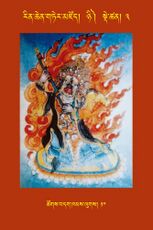 RTZ-Tsagli-Dzongsar-NYI-03-tshogs bdag khams lugs-10