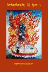 RTZ-Tsagli-Dzongsar-NYI-03-tshogs bdag khams lugs-14