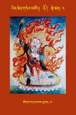 RTZ-Tsagli-Dzongsar-NYI-03-tshogs bdag khams lugs-16