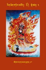 RTZ-Tsagli-Dzongsar-NYI-03-tshogs bdag khams lugs-17