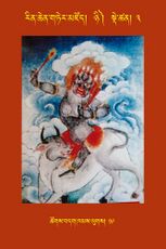 RTZ-Tsagli-Dzongsar-NYI-03-tshogs bdag khams lugs-19