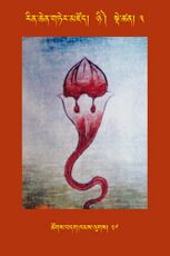 RTZ-Tsagli-Dzongsar-NYI-03-tshogs bdag khams lugs-27