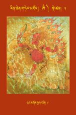 RTZ-Tsagli-Dzongsar-OM-05-nyang mgon phyag bzhi-09