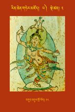 RTZ-Tsagli-Dzongsar-PA-02-bdud 'dul gro lod-18