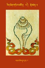 RTZ-Tsagli-Dzongsar-PA-05-gnam chos gur drag-07