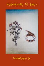 RTZ-Tsagli-Dzongsar-PHI-01-rigs gsum dril sgrub-06