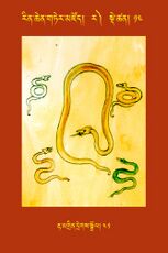 RTZ-Tsagli-Dzongsar-RA-13-rta mgrin dregs sgrol-41