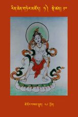 RTZ-Tsagli-Dzongsar-TA-10-tshe nor bsam lhun-49