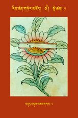 RTZ-Tsagli-Dzongsar-TSA-01-bdud 'dul 'jam dkar-08