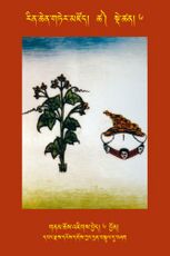 RTZ-Tsagli-Dzongsar-TSHA-06-gnam chos 'jigs byed-06