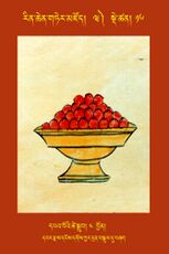 RTZ-Tsagli-Dzongsar-WA-16-dpa' bo'i tshe sgrub-05