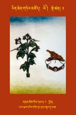 RTZ-Tsagli-Dzongsar-YI-01-gnam chos king dmar-06