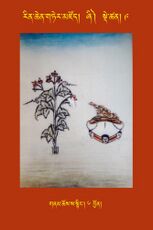 RTZ-Tsagli-Dzongsar-ZHI-09-gnam chos sa snying-06