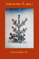 RTZ-Tsagli-Dzongsar-ZI-02-klong gsal byams mgon-04