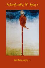 RTZ-Tsagli-Dzongsar-ZI-03-gnam chos gnas bcu-31