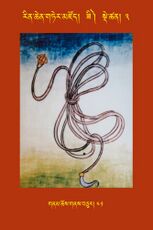 RTZ-Tsagli-Dzongsar-ZI-03-gnam chos gnas bcu-41