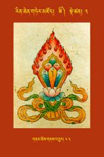 RTZ-Tsagli-Dzongsar-ZI-03-gnam chos gnas bcu-43