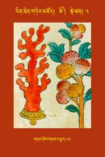 RTZ-Tsagli-Dzongsar-ZI-03-gnam chos gnas bcu-59