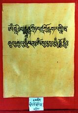 RTZ-Tsagli-KA-04-snying po skor lnga-03