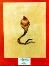 RTZ-Tsagli-TA-22-rat gling ma ning-09